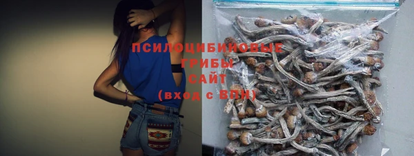 синтетический гашиш Алексин
