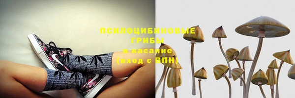 соль ск Алексеевка