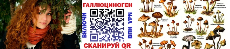 Псилоцибиновые грибы мицелий  как найти наркотики  кракен зеркало  Камбарка 
